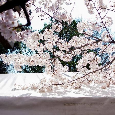 Tora Hotel Tokyo-Kitaueno 寅ホテル北上野 Tóquio Exterior foto